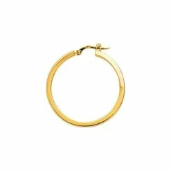 Robbez Masson Boucles D'oreilles Créoles En Plaqué Or