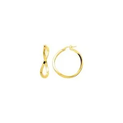 Robbez Masson Boucles D'oreilles Créoles En Plaqué Or