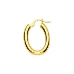 Robbez Masson Boucles D'oreilles Créoles En Plaqué Or