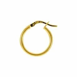 Robbez Masson Boucles D'oreilles Créoles En Plaqué Or