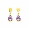 Robbez Masson Boucles D'oreilles En Or Jaune Et Améthystes